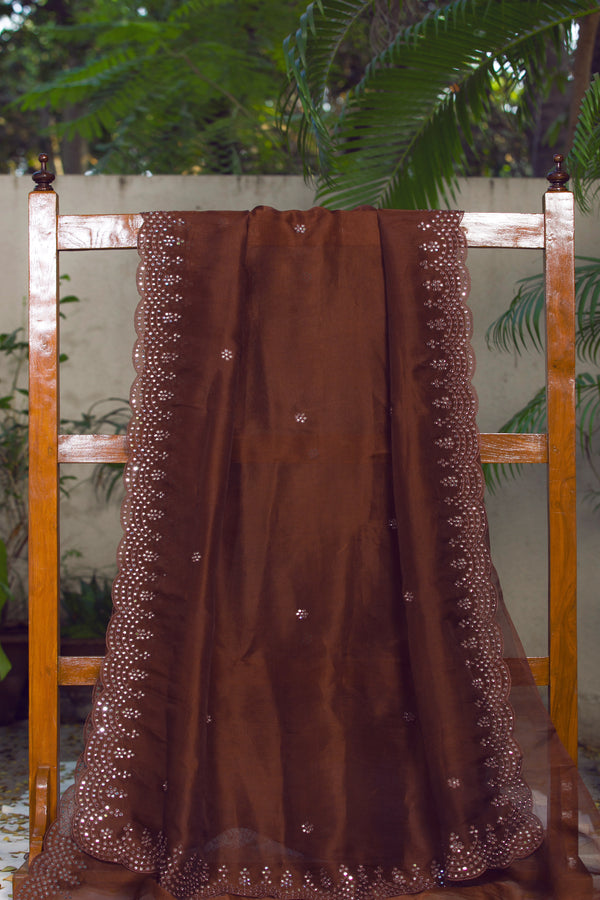 WOW Brown - Silk Organza Saree