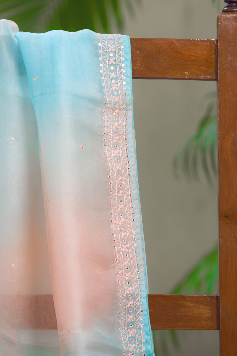 Stardust - Organza Silk Saree