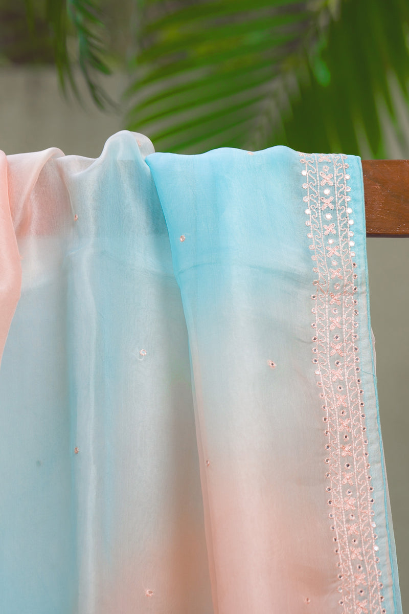 Stardust - Organza Silk Saree