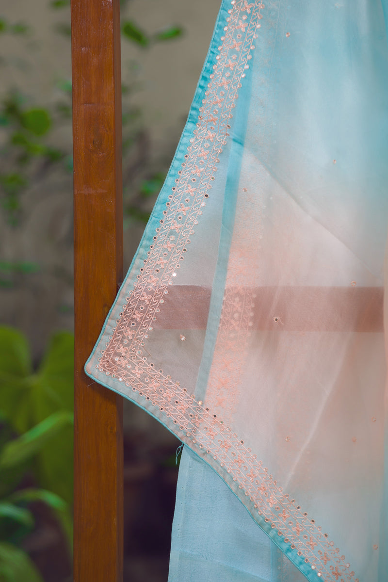 Stardust - Organza Silk Saree